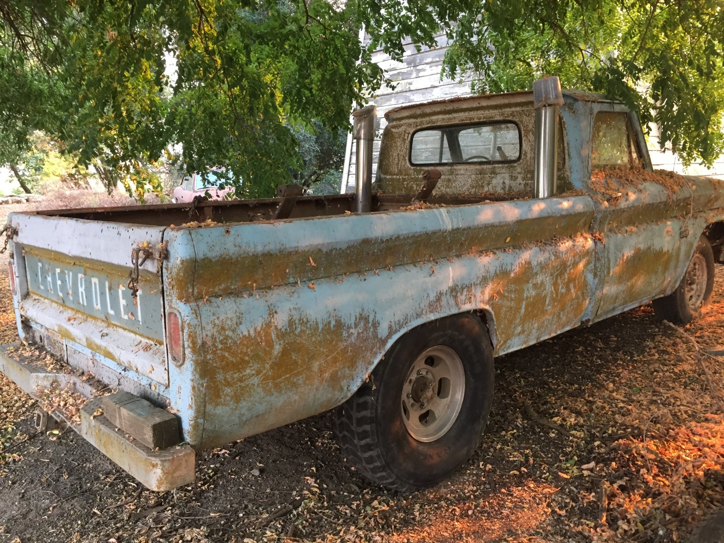 Frankenstein C20 Cover Photo