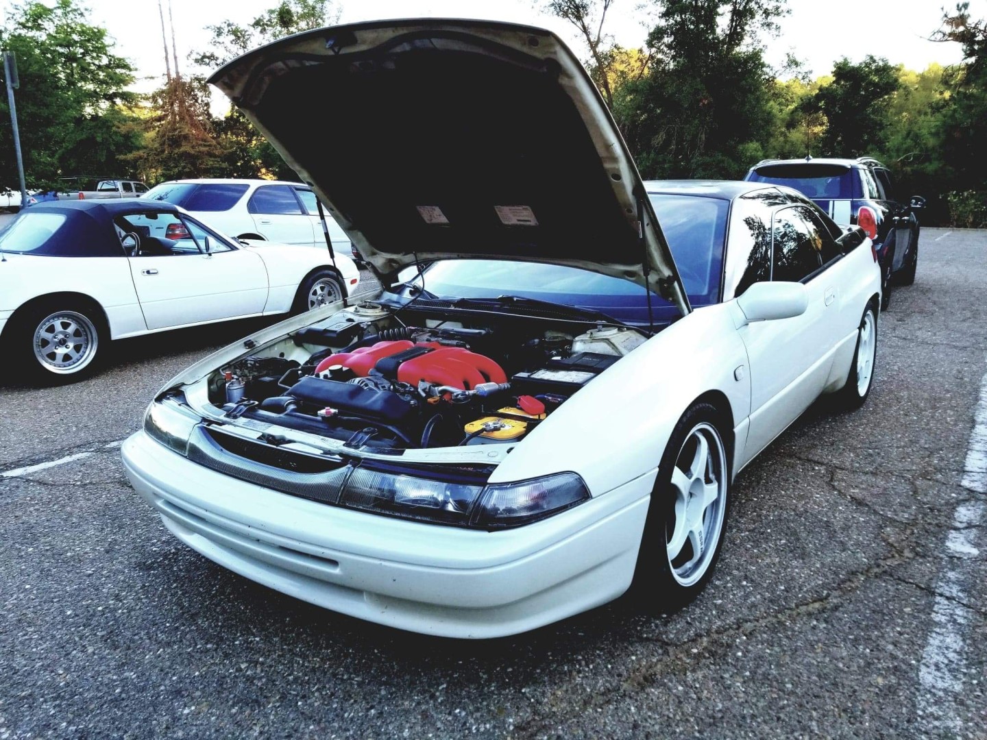 Current pic with the tint and clean engine bay and exterior cuz I finally washed it haha