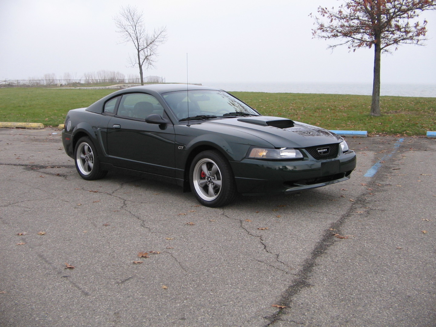 2001 Ford Mustang Bullitt Edition