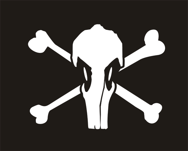 skull and bones