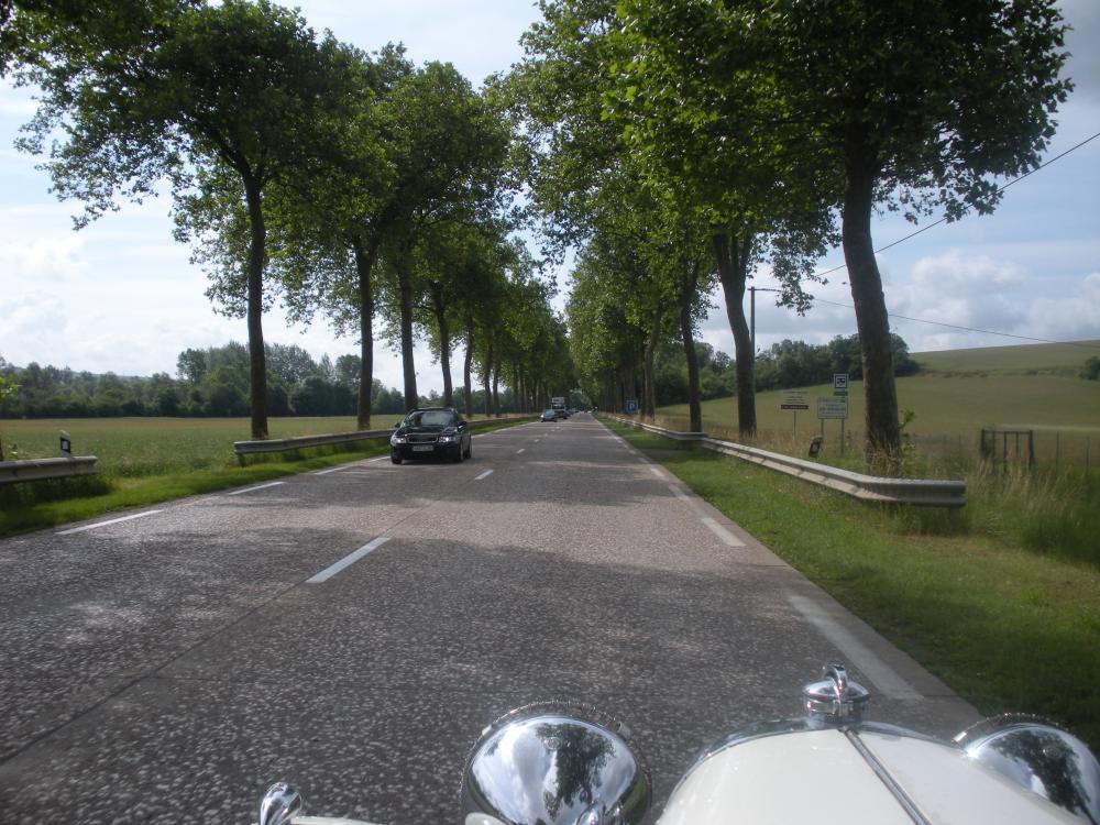 DSCN1021.jpg