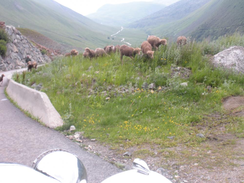DSCN1377.jpg
