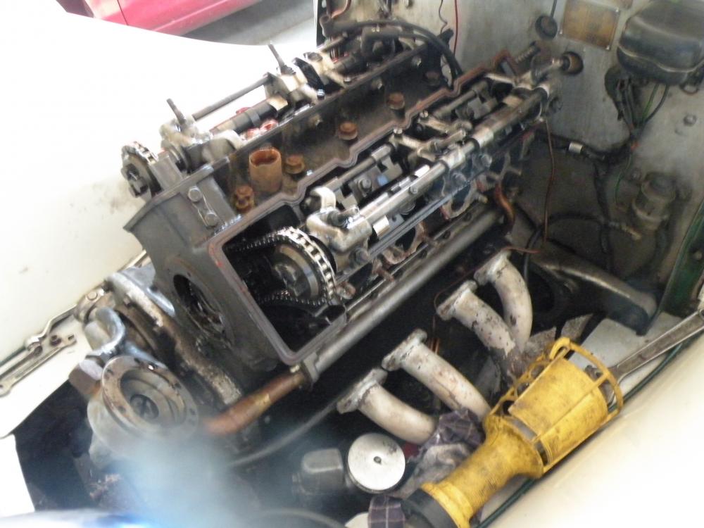 DSCN5290.jpg
