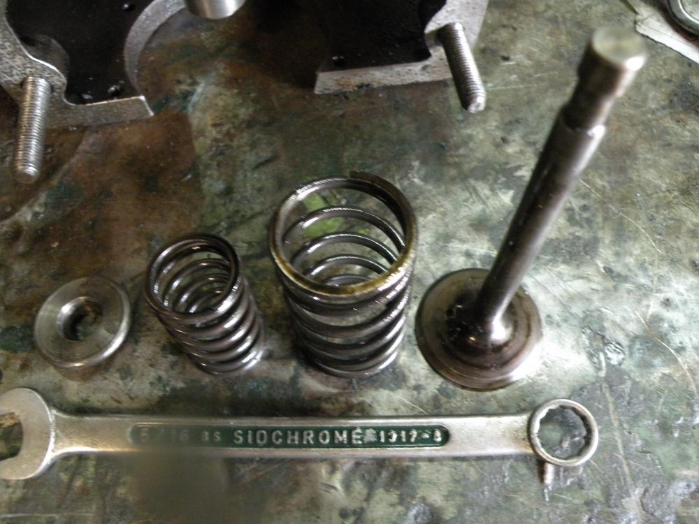 DSCN5302.jpg