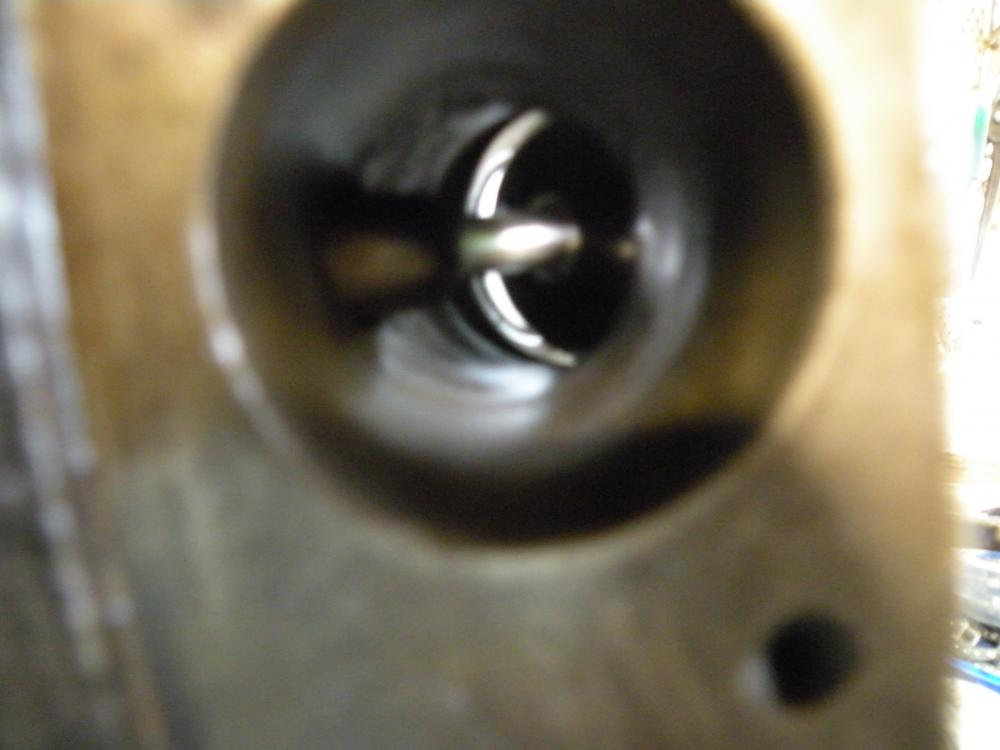 DSCN5329.jpg