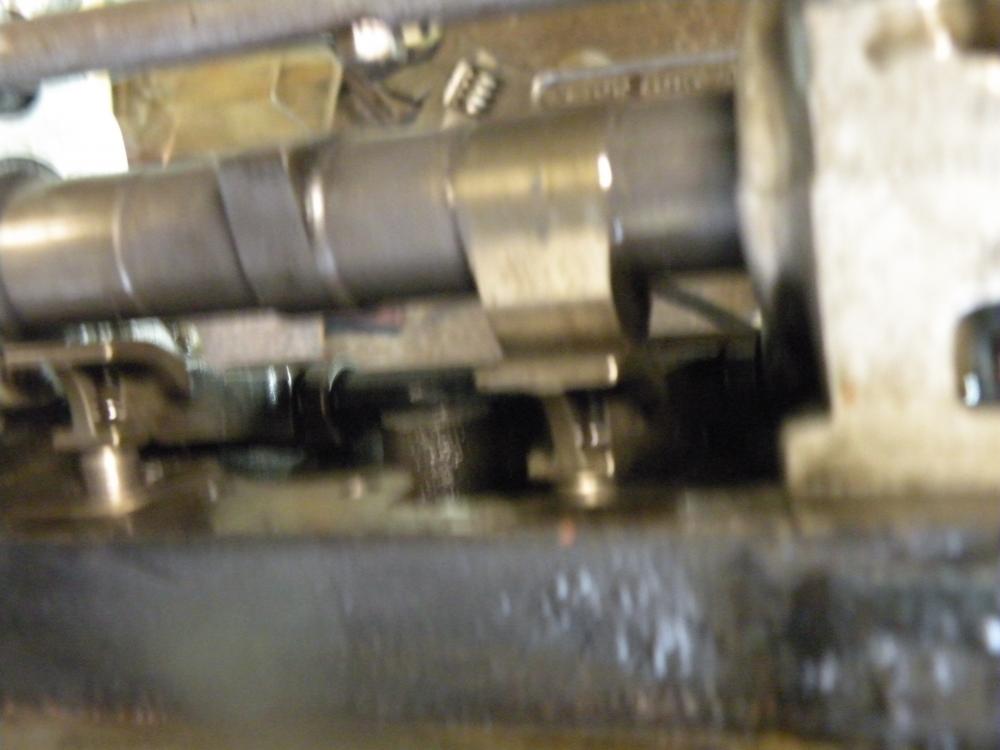 DSCN5336.jpg